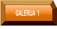 GALERIJA  1