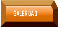 GALERIJA 3