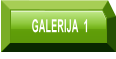GALERIJA  1